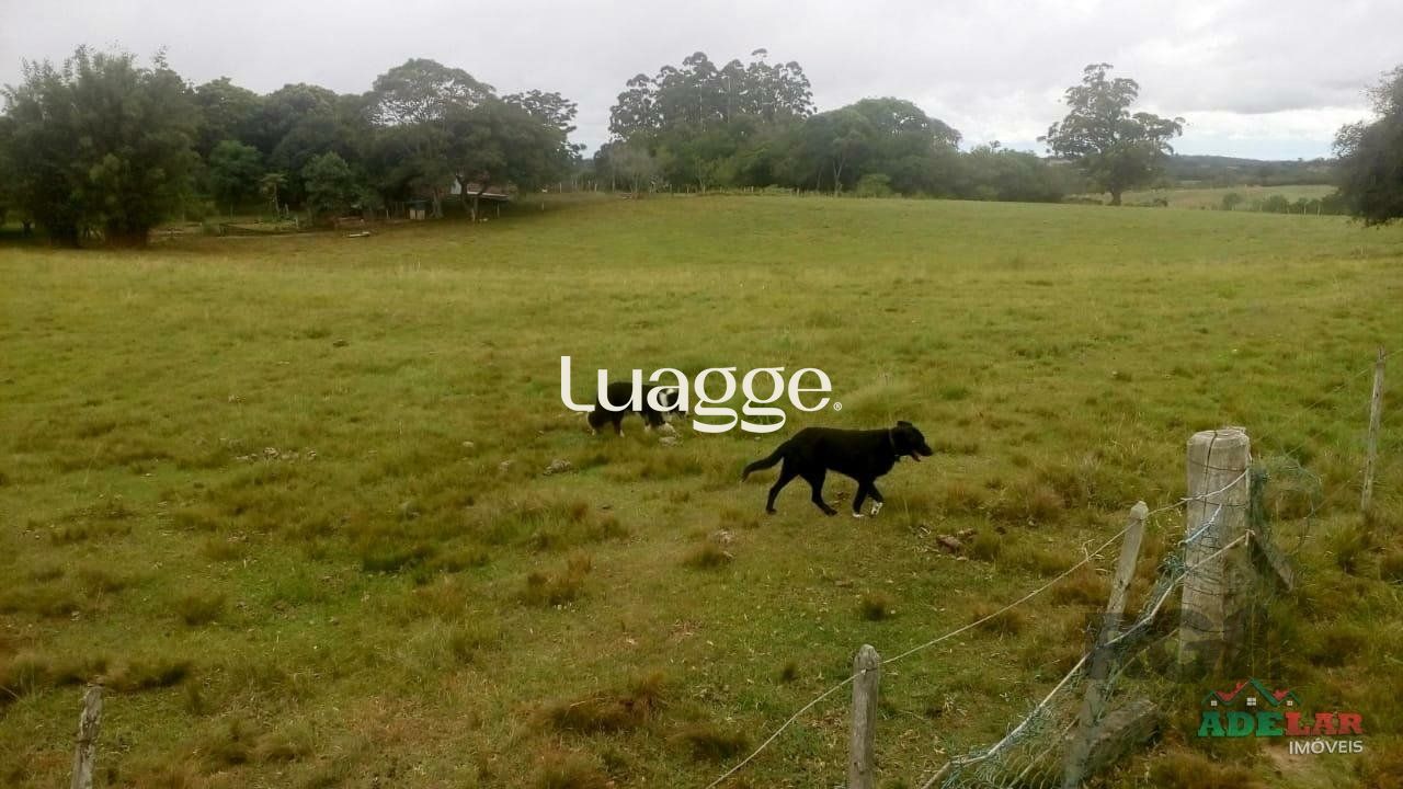 Sítio, 2 quartos, 100001 m² - Foto 41