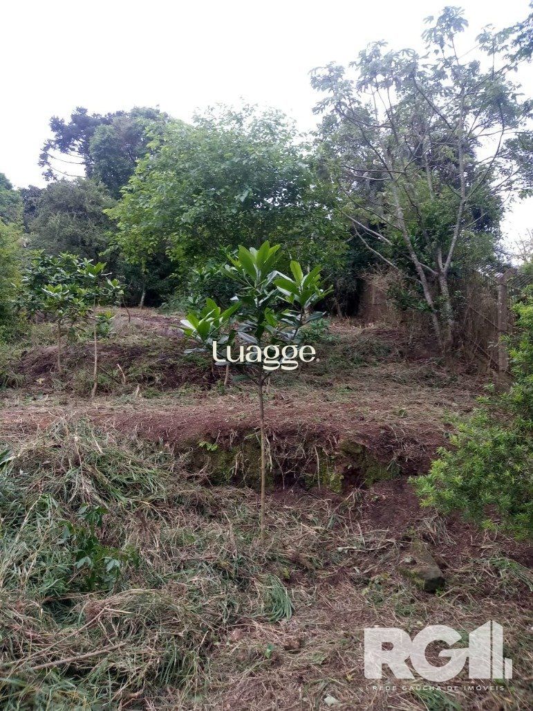 Terreno, 679 m² - Foto 2