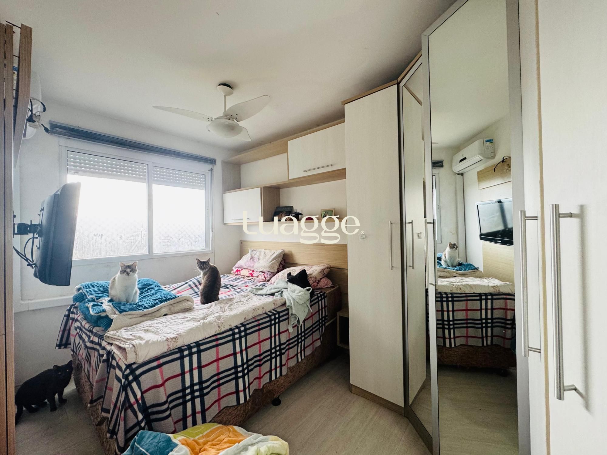 Apartamento à venda com 3 quartos, 67m² - Foto 9