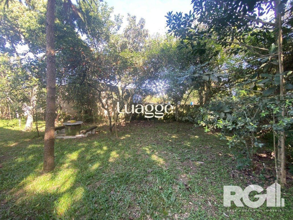 Casa à venda com 2 quartos, 800m² - Foto 6