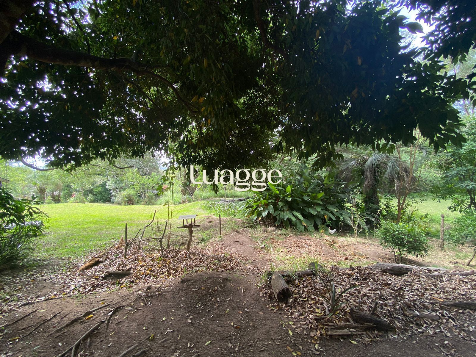 Sítio à venda com 1 quarto, 116m² - Foto 32