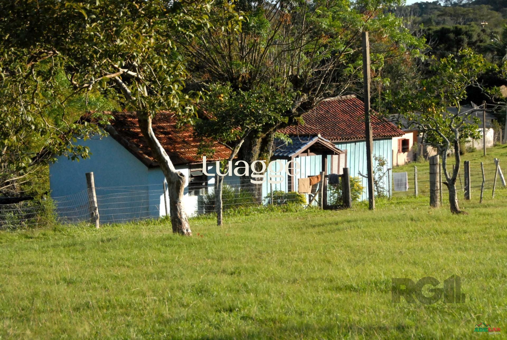 Sítio à venda com 2 quartos, 30002m² - Foto 61
