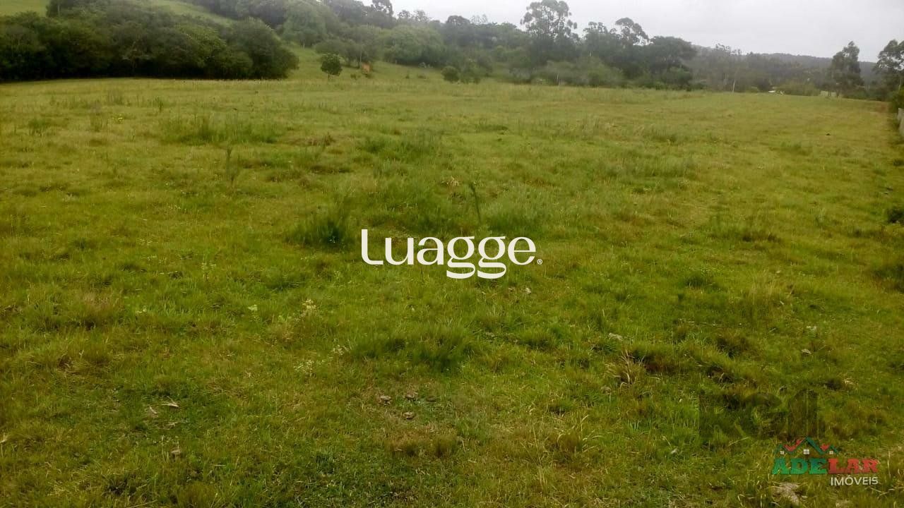 Sítio, 2 quartos, 100001 m² - Foto 42