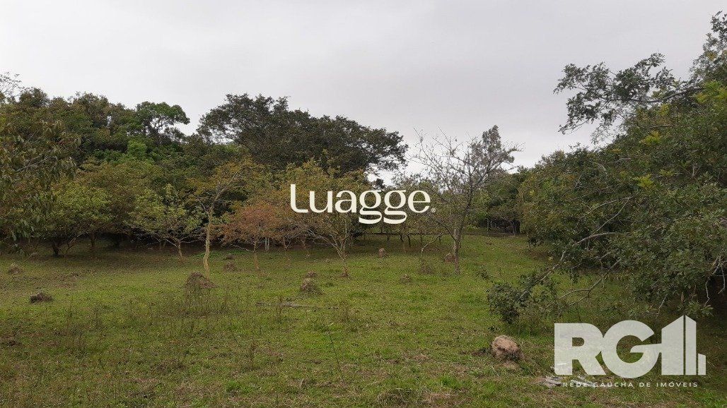 Sítio à venda com 2 quartos, 6612m² - Foto 13