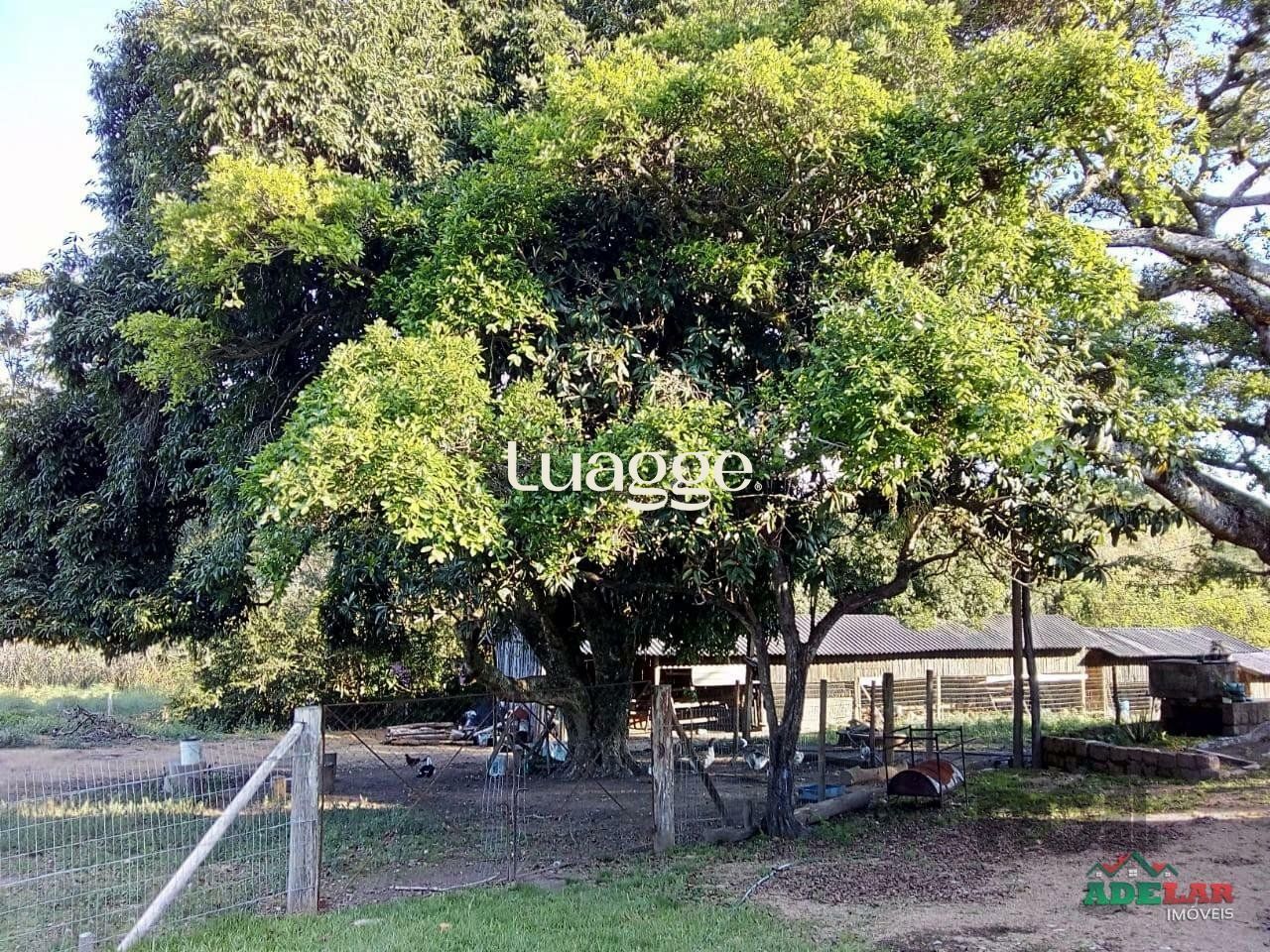 Sítio à venda com 2 quartos, 30002m² - Foto 78