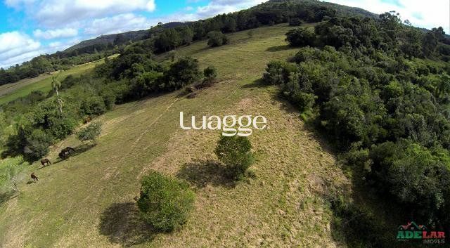 Sítio, 1501 m² - Foto 4