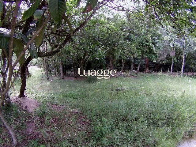 Sítio, 6681 m² - Foto 9