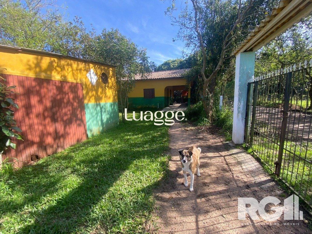 Casa à venda com 2 quartos, 800m² - Foto 11