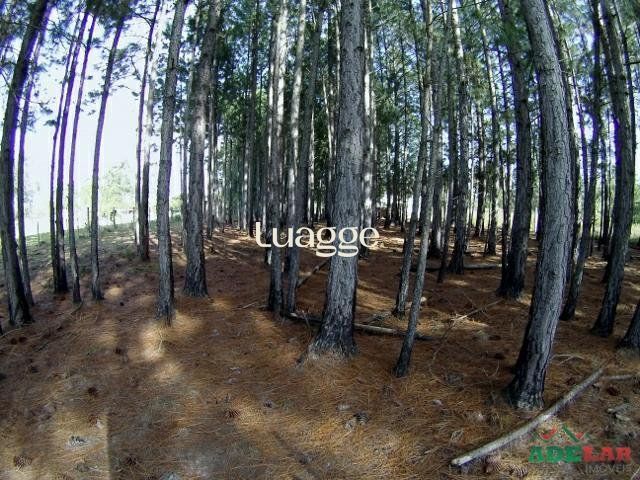 Terreno, 3061 m² - Foto 2