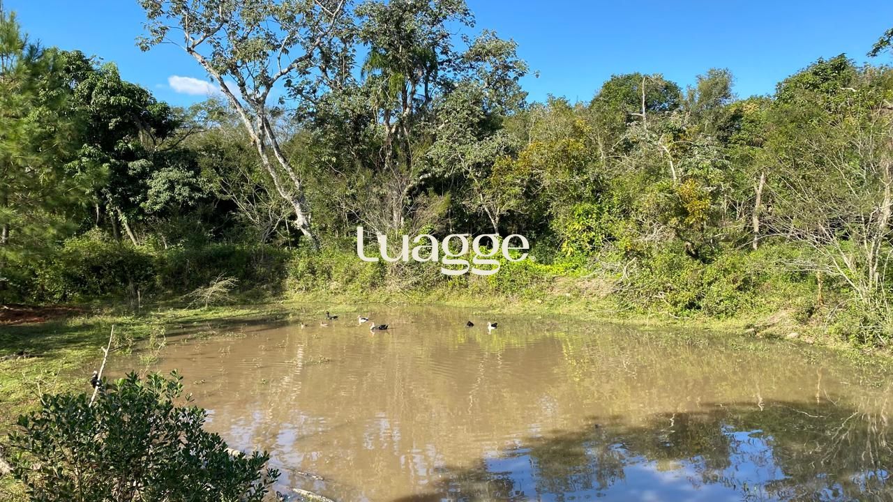Chácara à venda com 2 quartos, 2m² - Foto 14