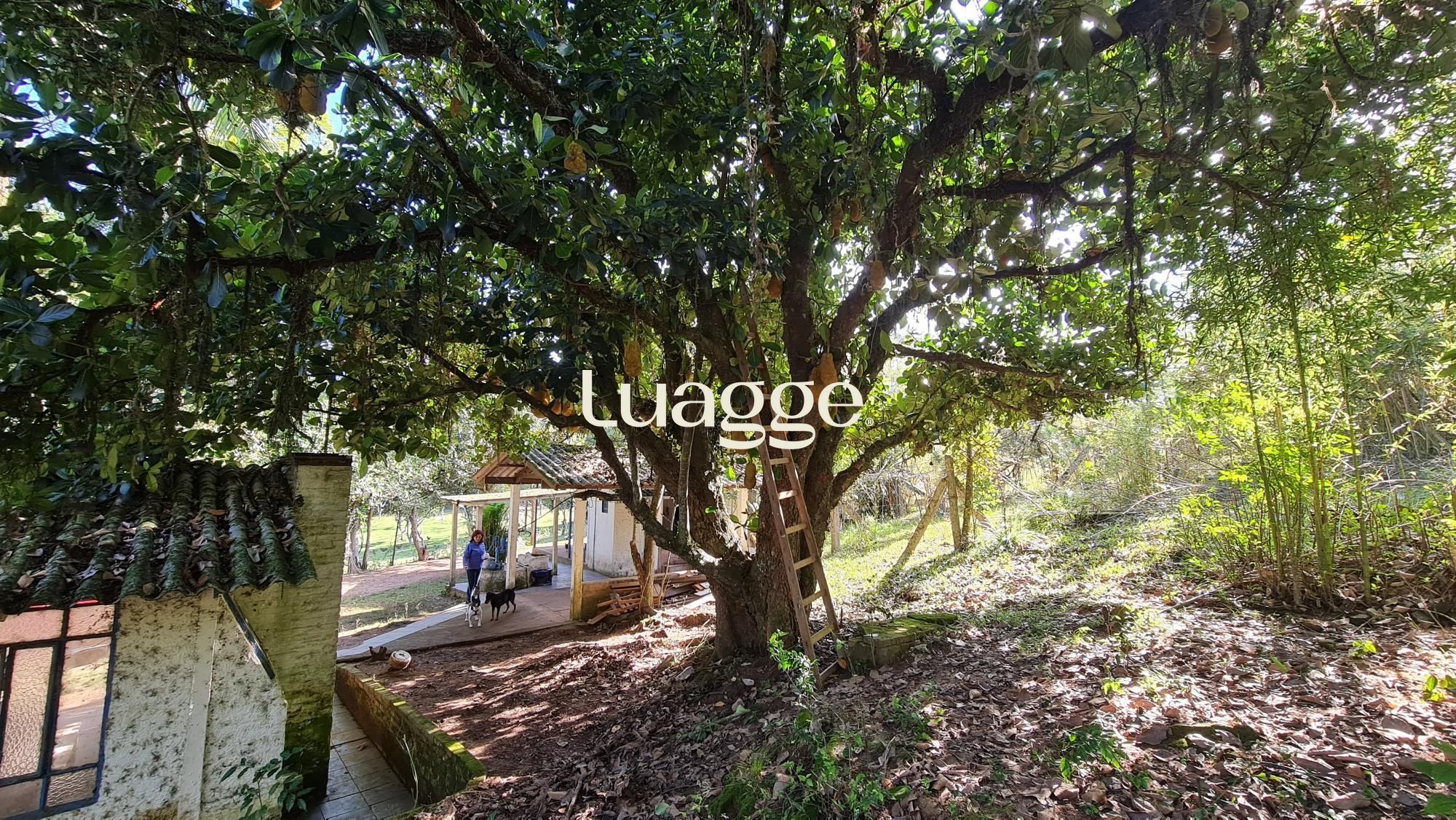 Chácara à venda com 2 quartos, 2m² - Foto 10