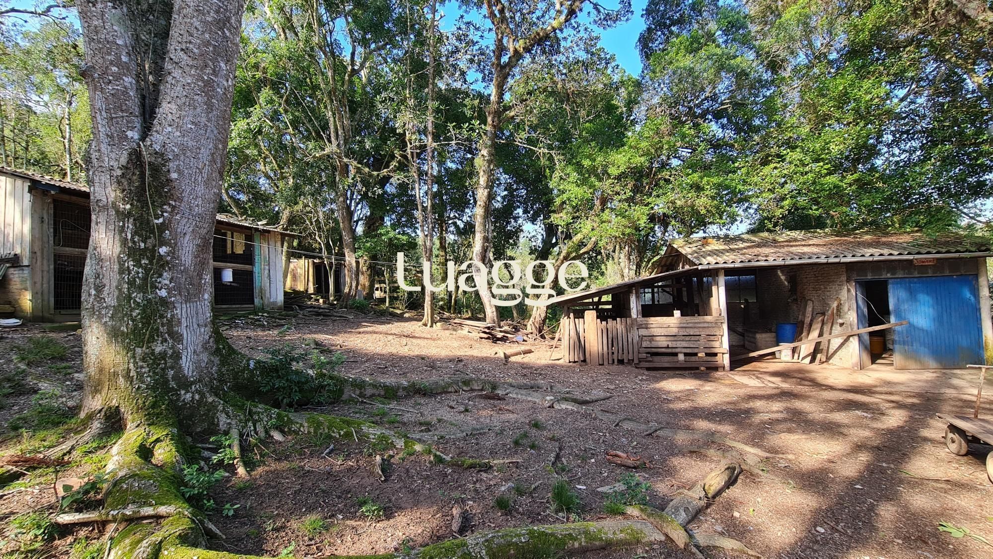 Chácara à venda com 2 quartos, 2m² - Foto 4