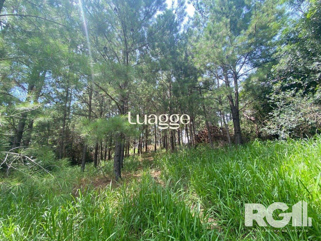 Sítio à venda com 2 quartos, 139m² - Foto 13
