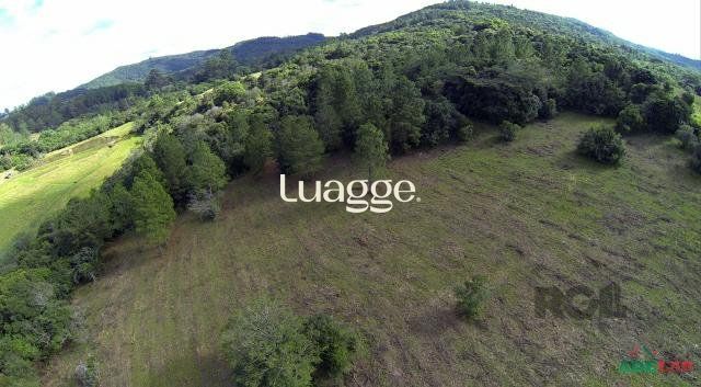 Sítio, 1501 m² - Foto 6