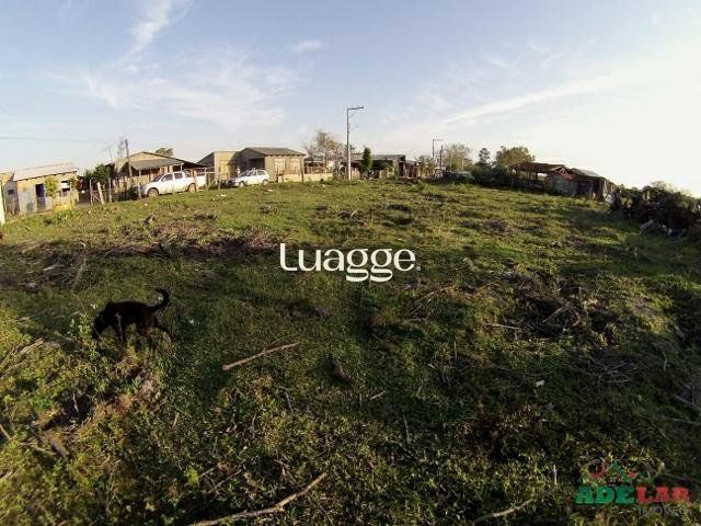 Terreno, 1001 m² - Foto 3