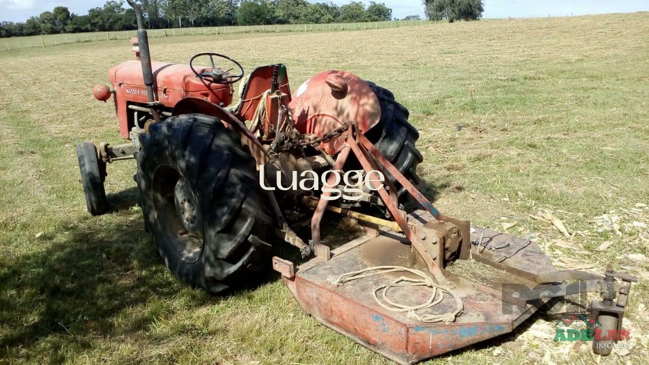 Sítio, 2 quartos, 100001 m² - Foto 29