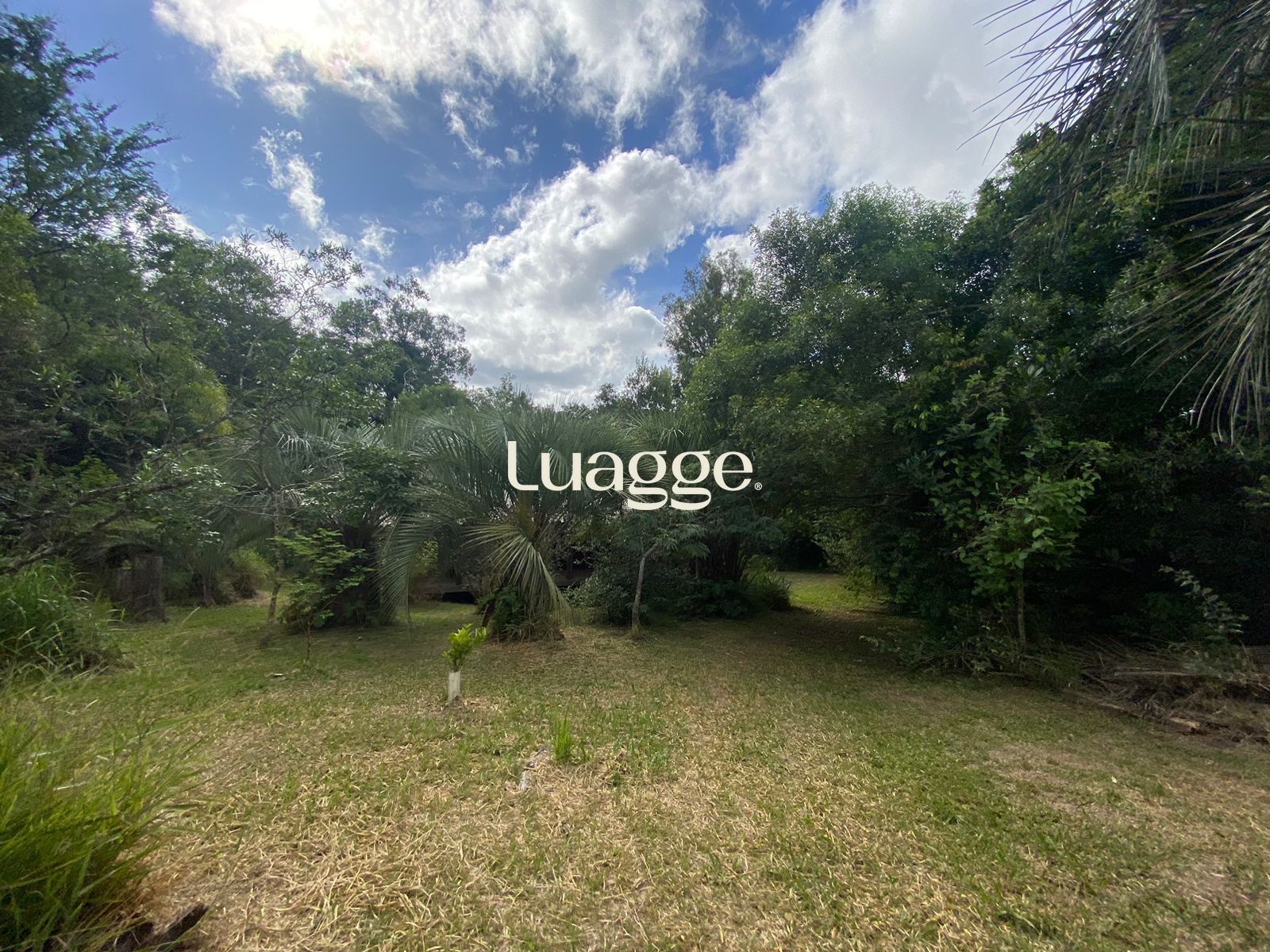 Sítio à venda com 1 quarto, 116m² - Foto 36