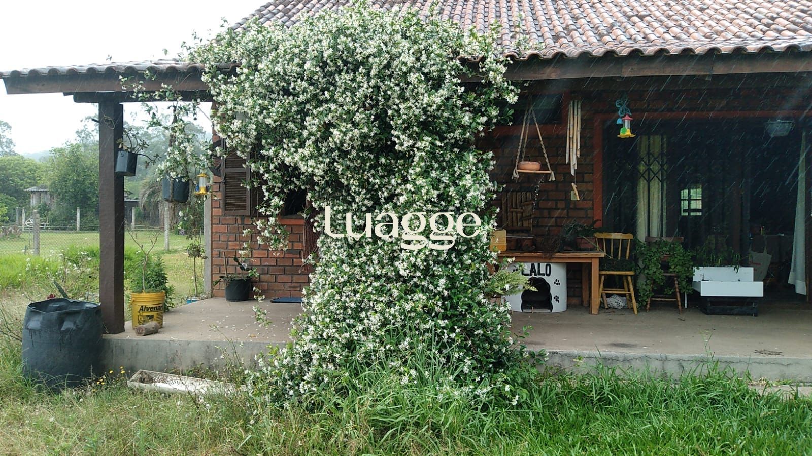 Sítio à venda com 2 quartos, 73m² - Foto 8