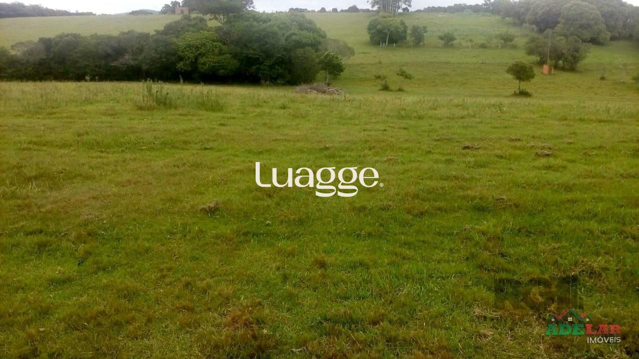 Sítio, 2 quartos, 100001 m² - Foto 34