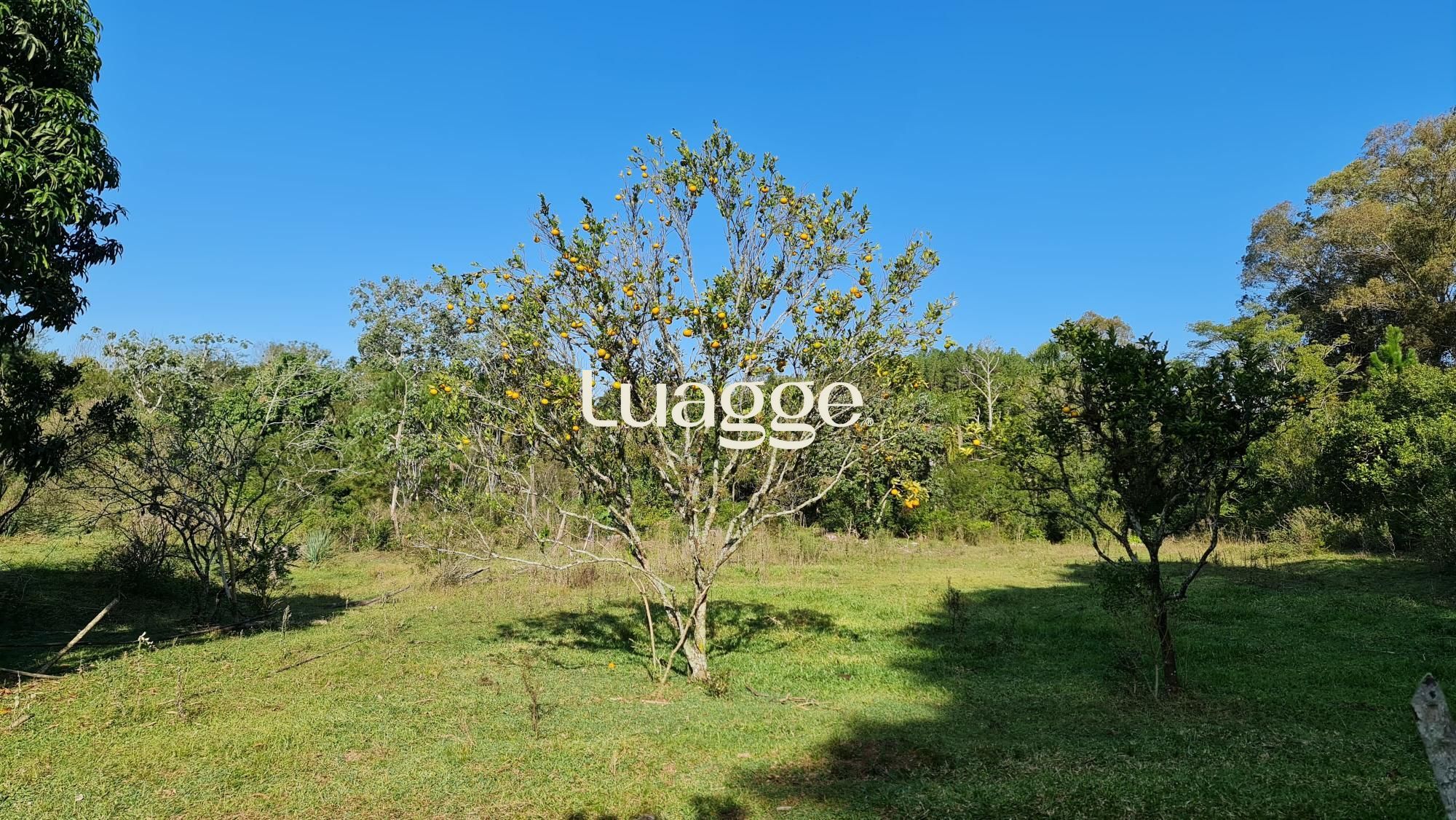 Chácara à venda com 2 quartos, 2m² - Foto 21