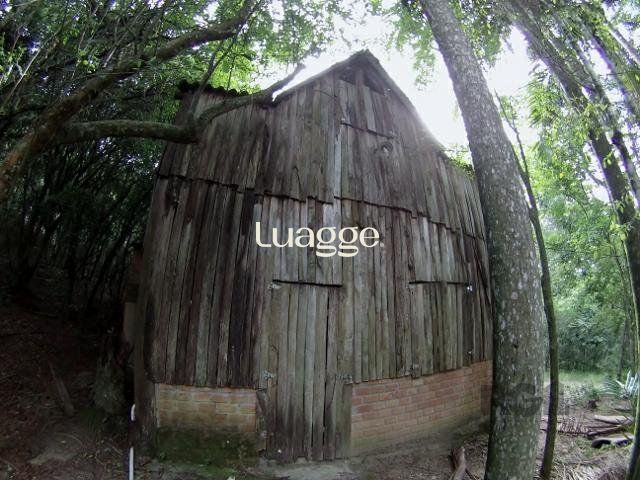 Sítio, 6681 m² - Foto 8