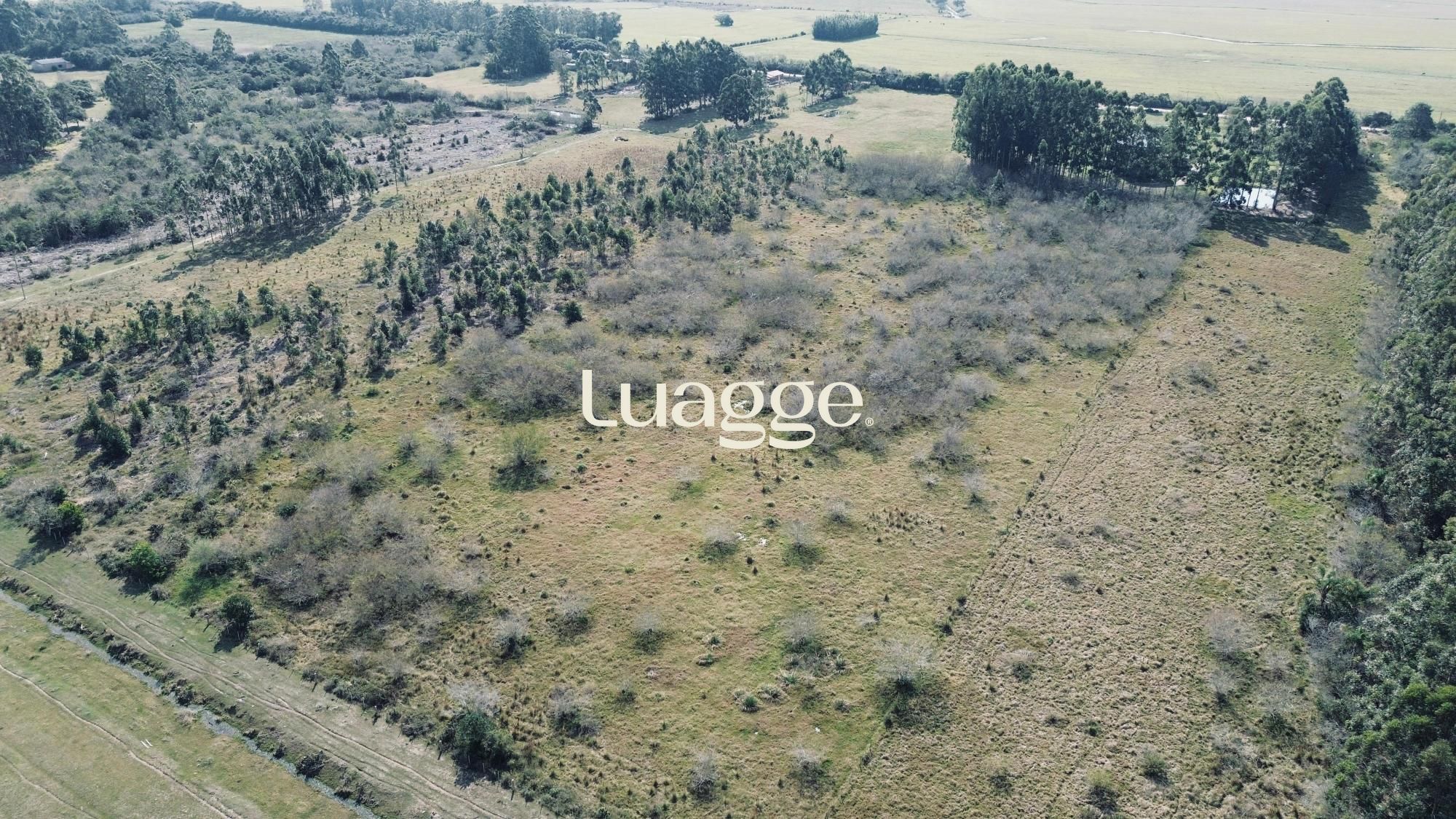 Terreno, 2 hectares - Foto 1