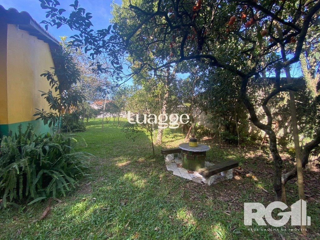 Casa à venda com 2 quartos, 800m² - Foto 5