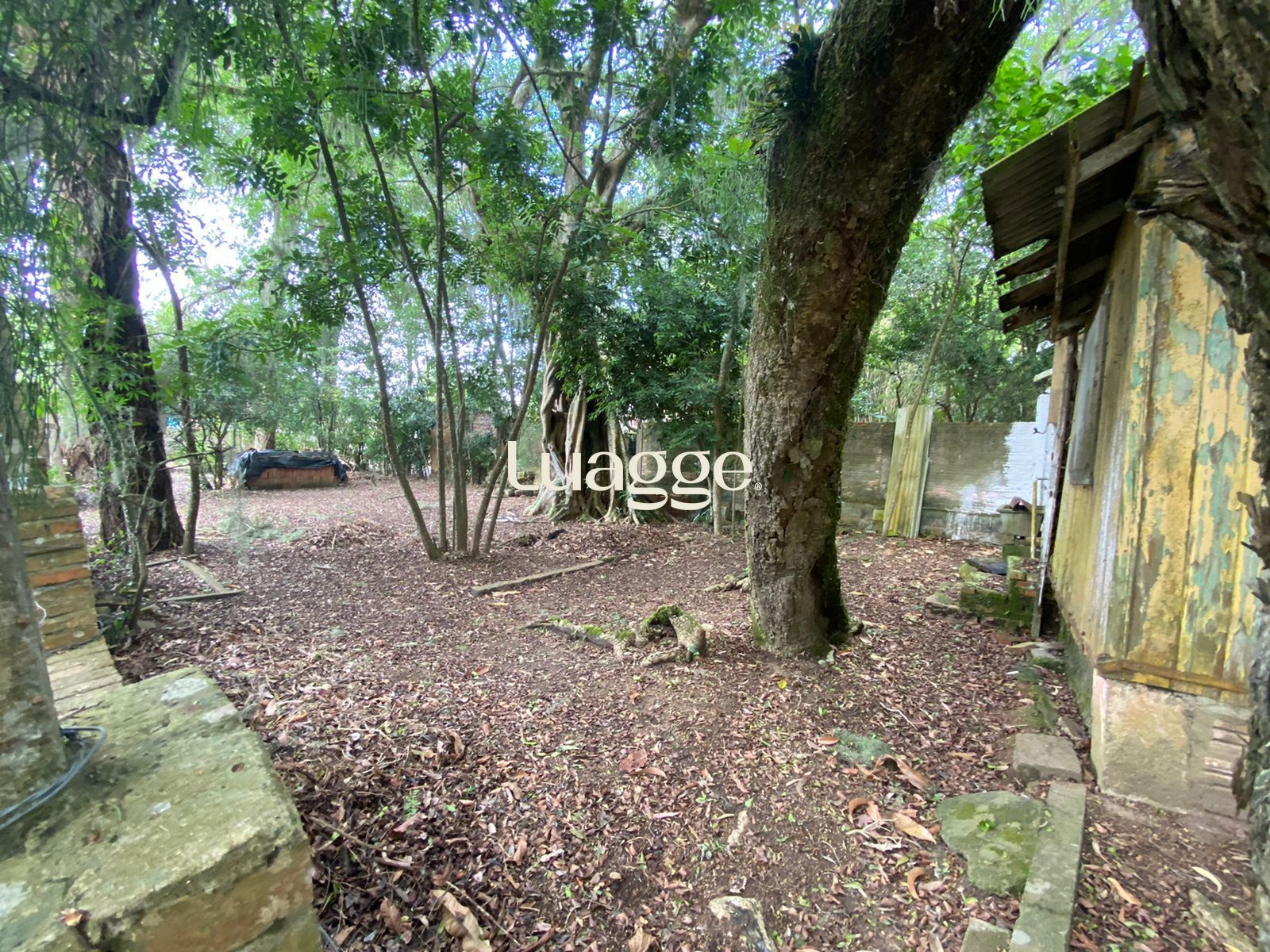 Terreno à venda, 339m² - Foto 1