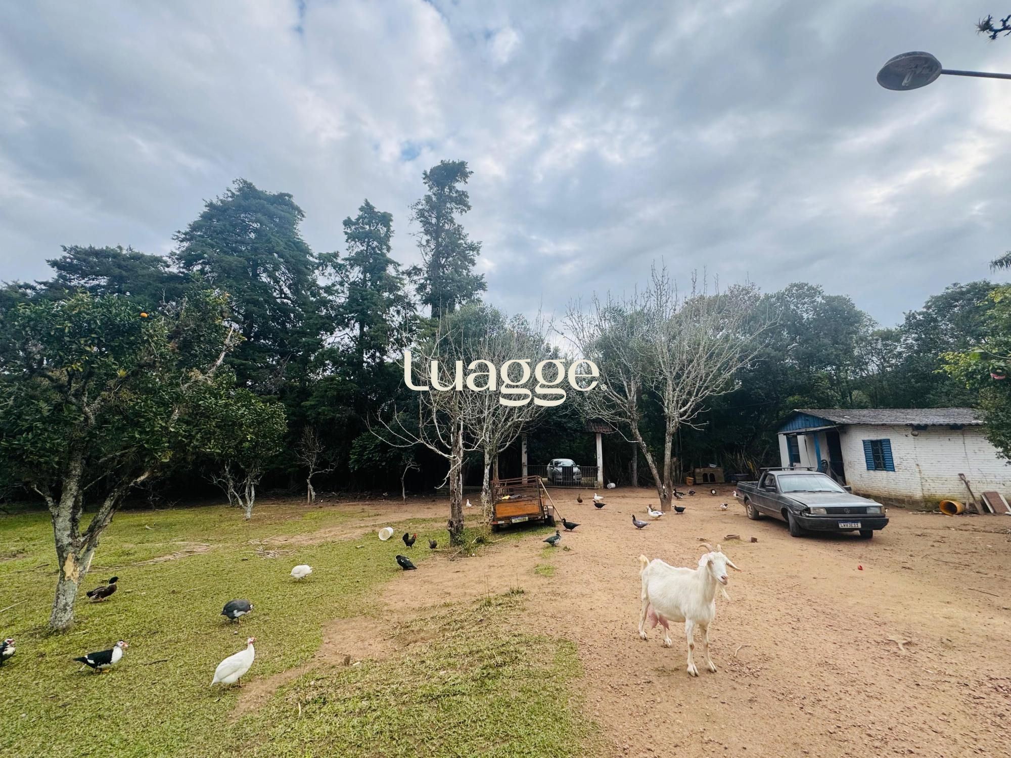 Chácara à venda com 2 quartos, 2m² - Foto 15
