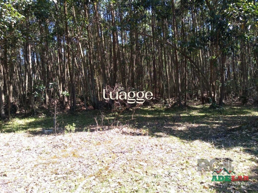 Sítio à venda com 4 quartos, 76739m² - Foto 26