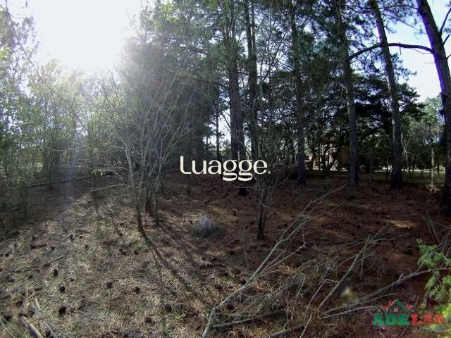 Terreno, 3061 m² - Foto 8