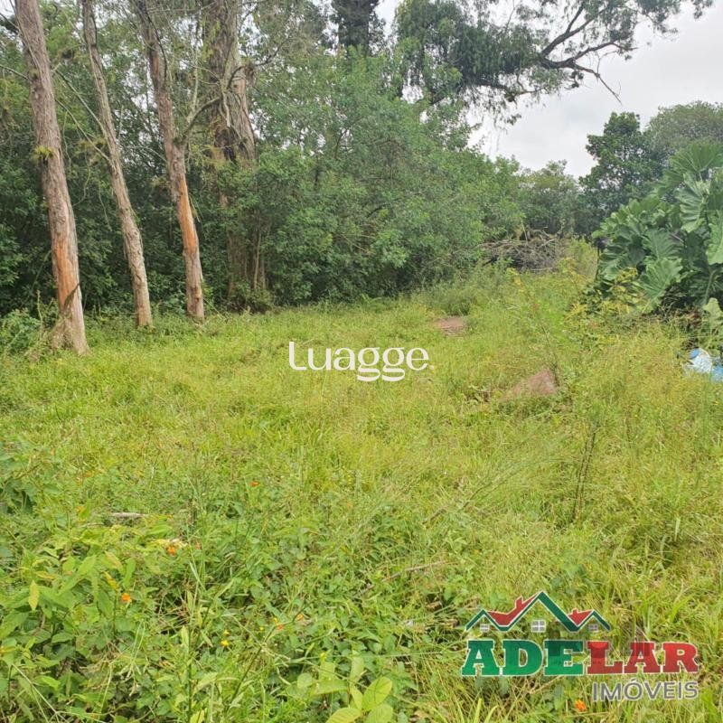 Terreno, 3713 m² - Foto 5