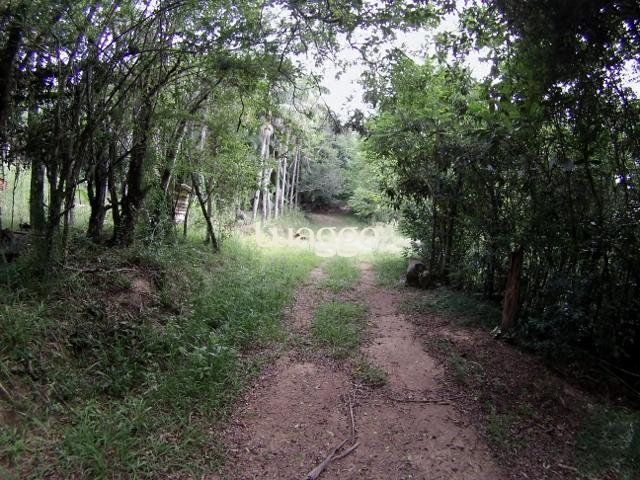 Sítio, 6681 m² - Foto 5