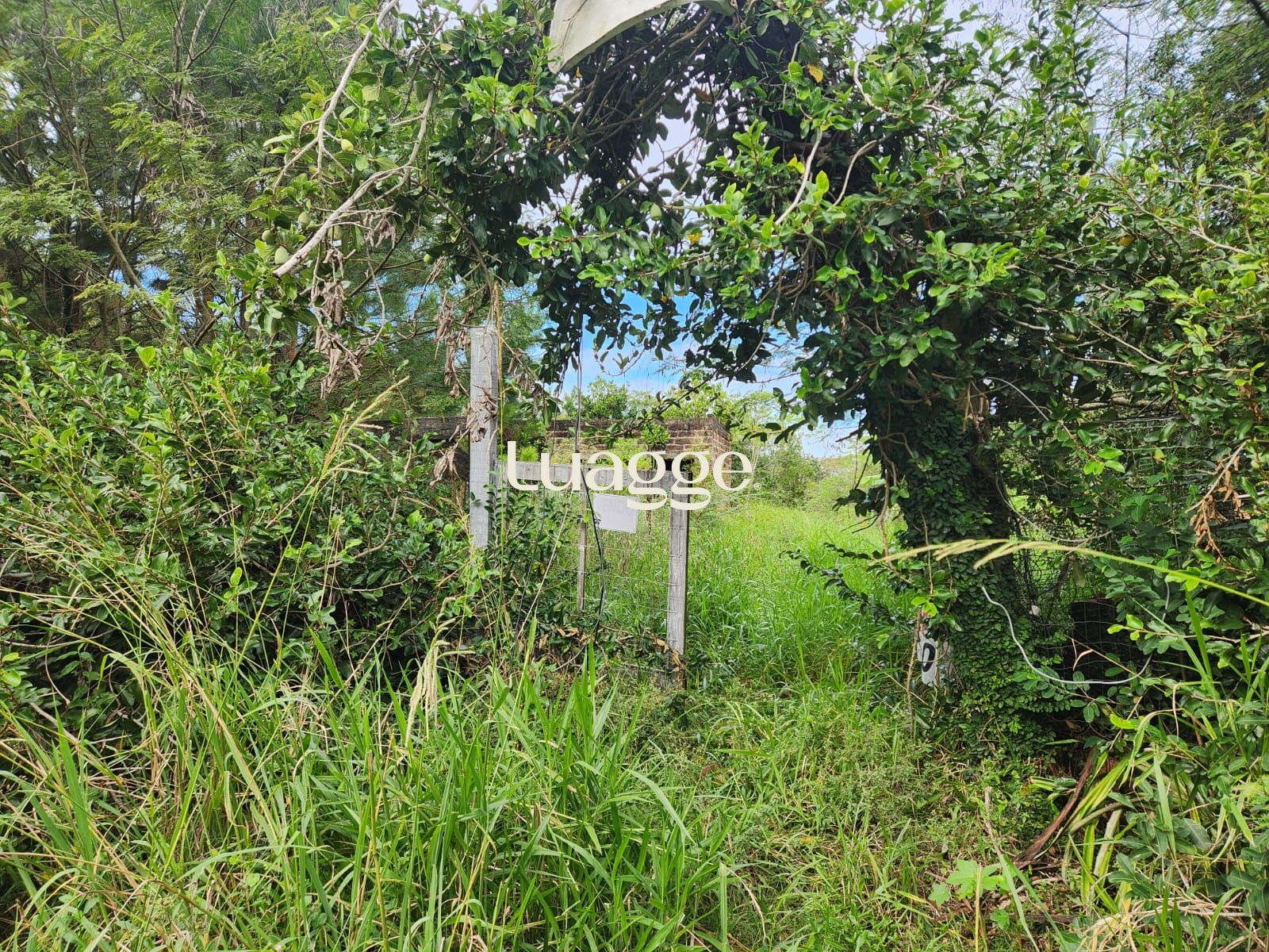 Terreno, 3121 m² - Foto 2