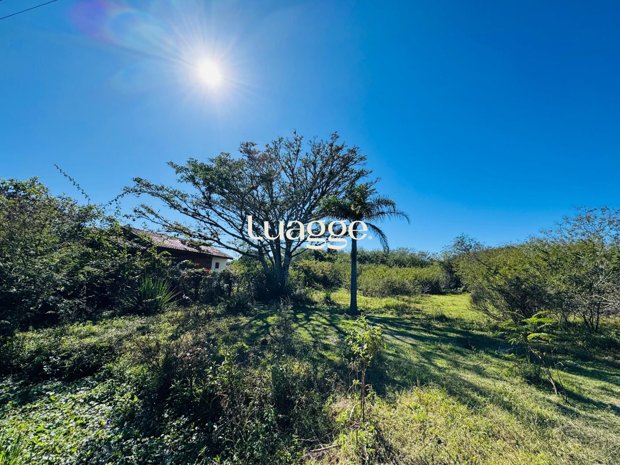 Terreno, 1001 m² - Foto 2