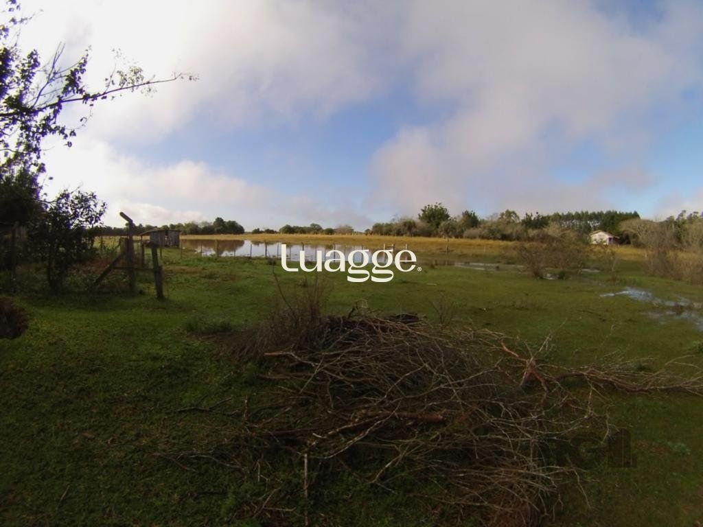 Sítio à venda, 10002m² - Foto 5