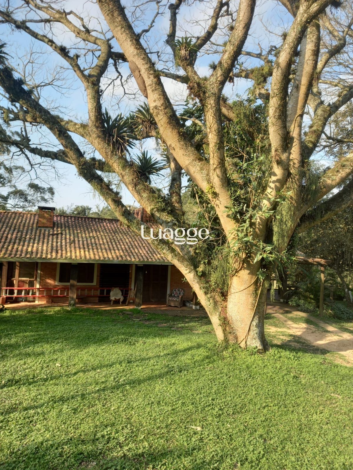 Sítio à venda com 2 quartos, 151m² - Foto 5