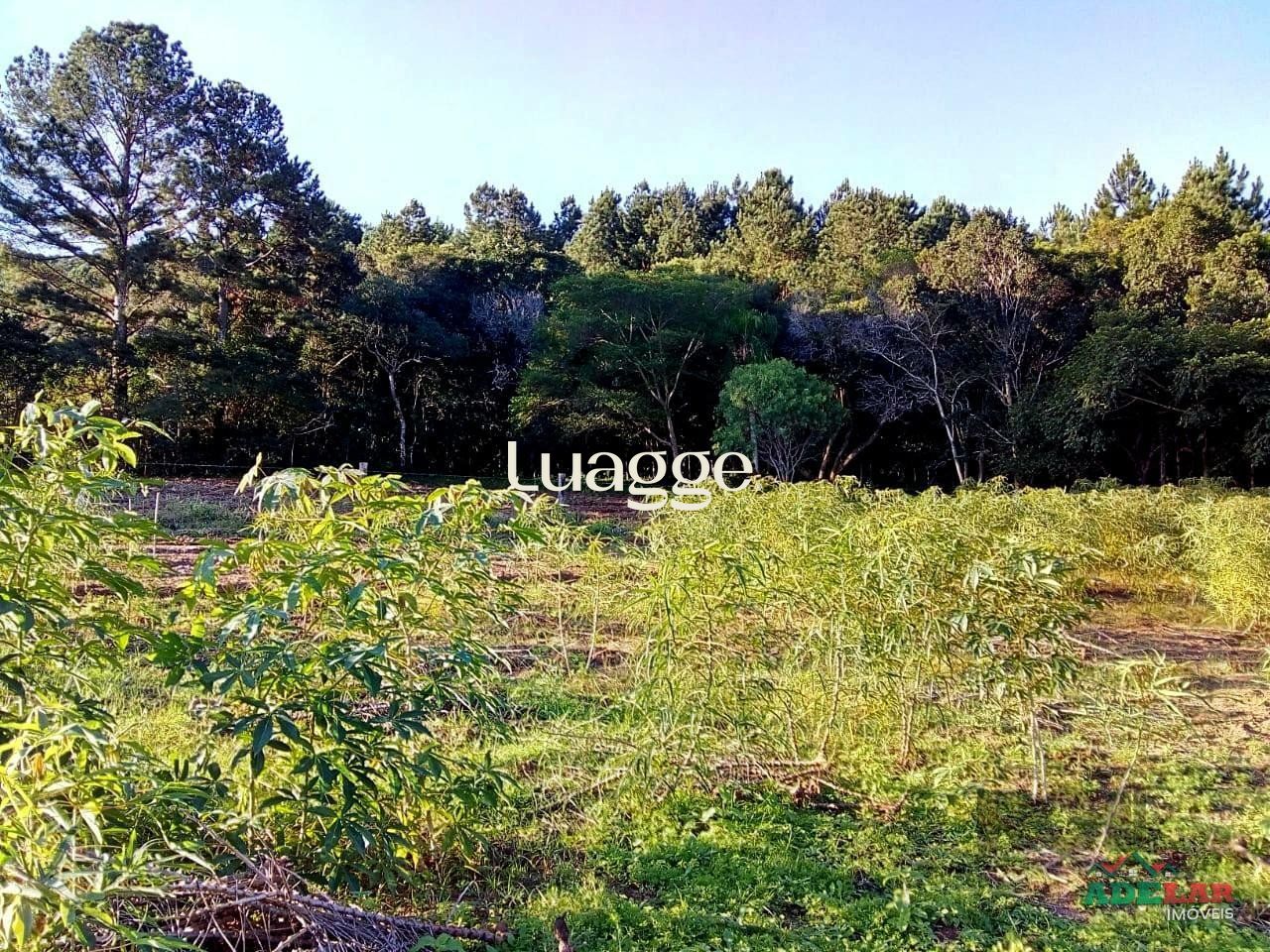 Sítio à venda com 2 quartos, 30002m² - Foto 100