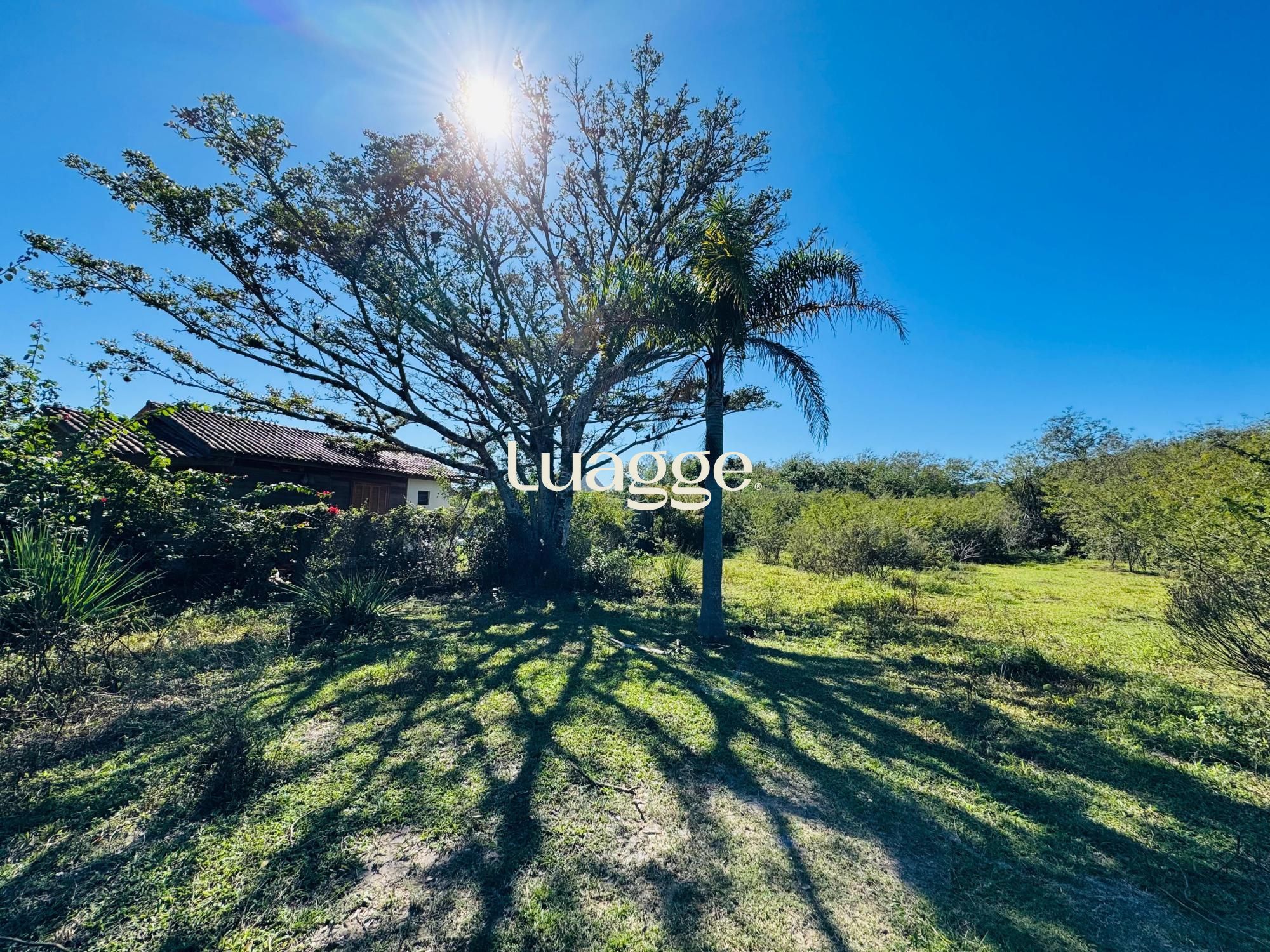 Terreno, 1001 m² - Foto 1