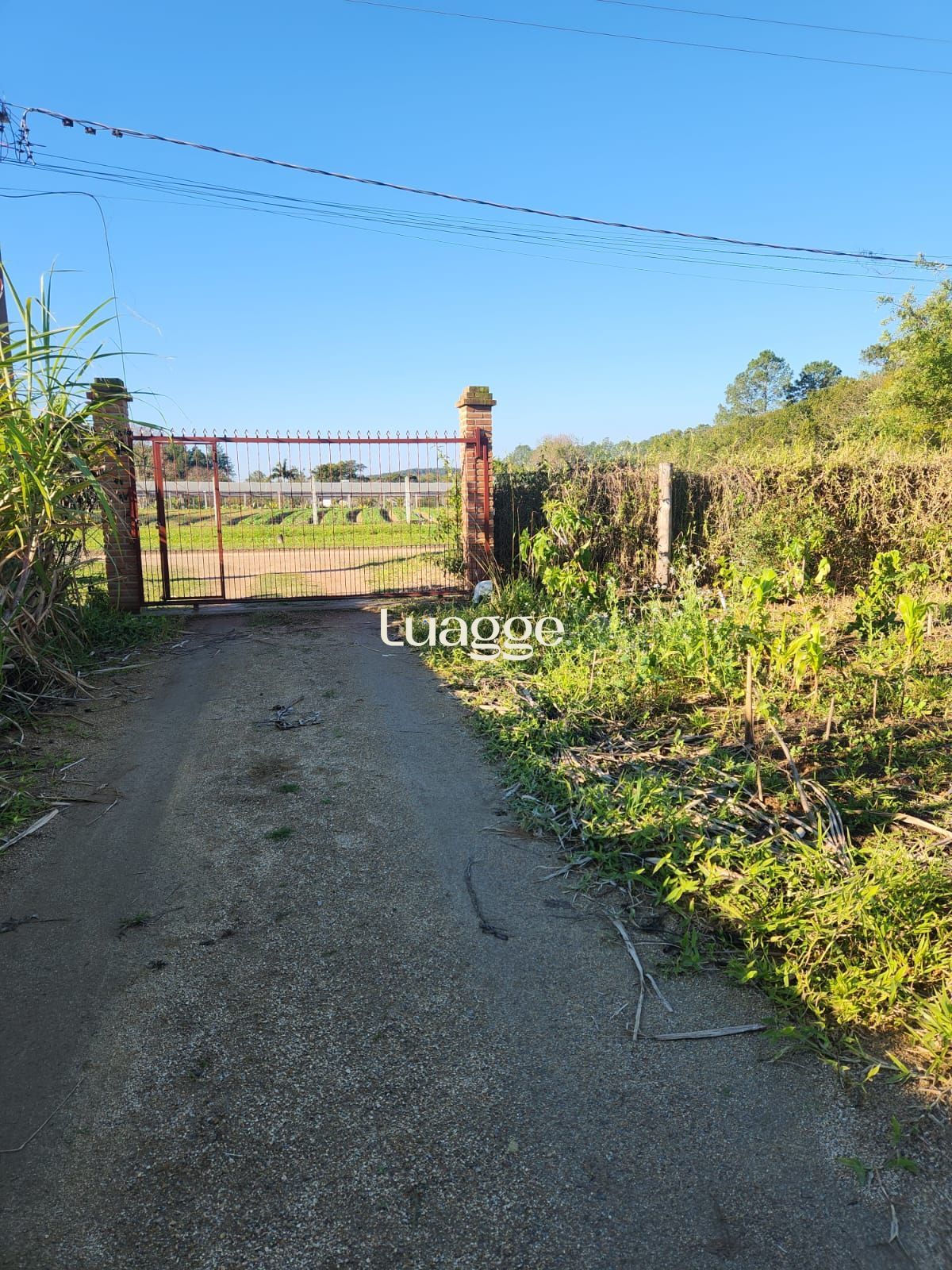 Sítio à venda com 2 quartos, 57m² - Foto 36