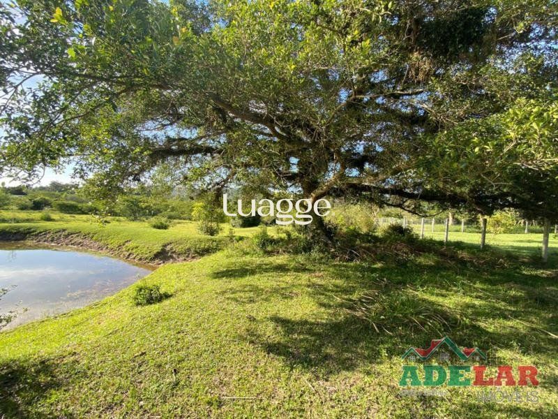 Terreno à venda, 20163m² - Foto 3