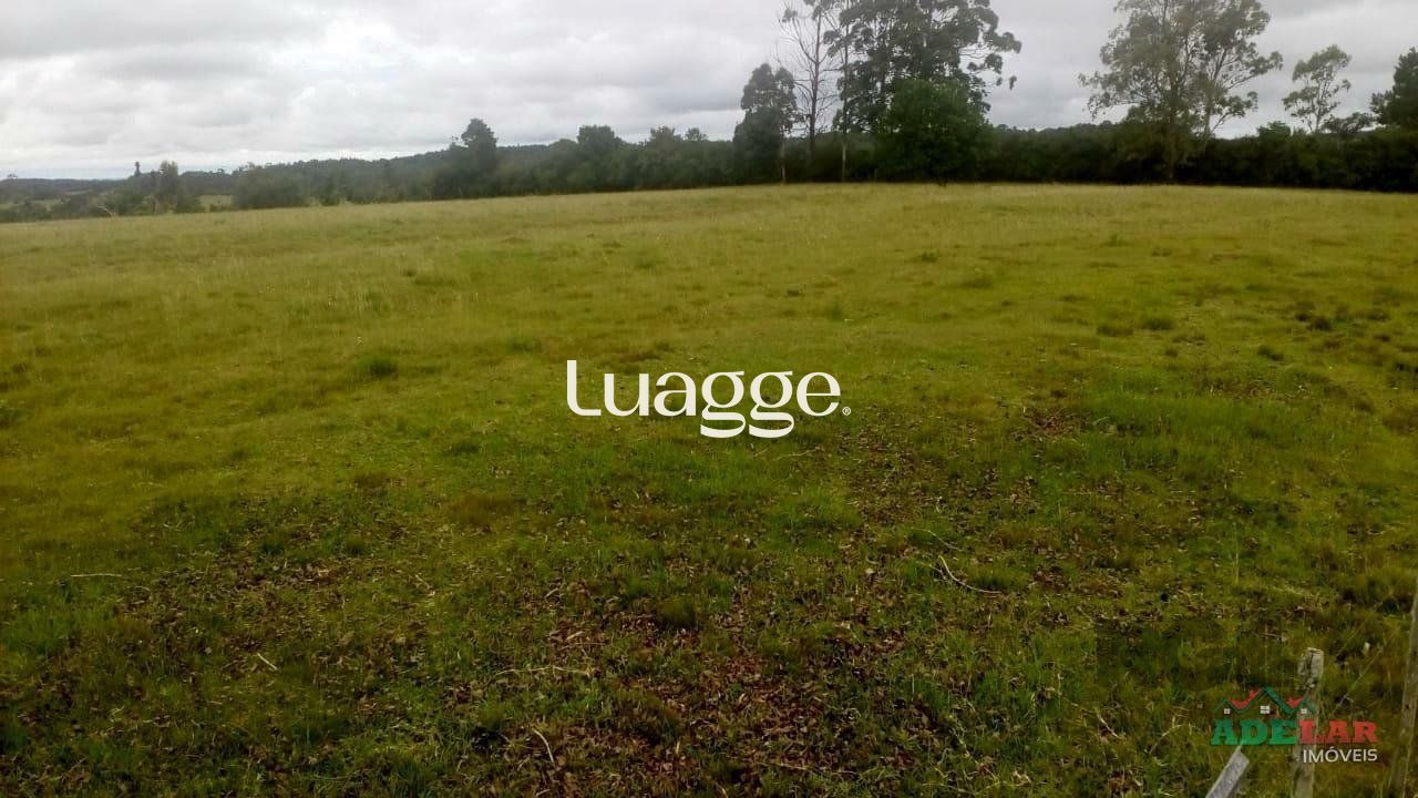 Sítio, 2 quartos, 100001 m² - Foto 35