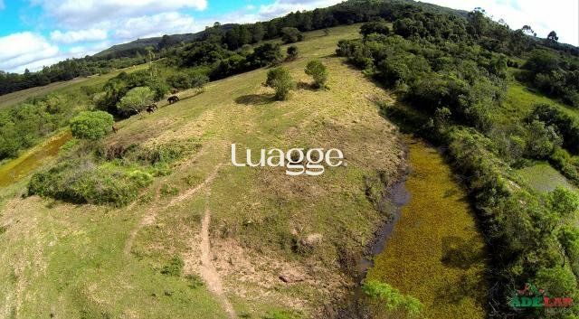 Sítio, 1501 m² - Foto 5