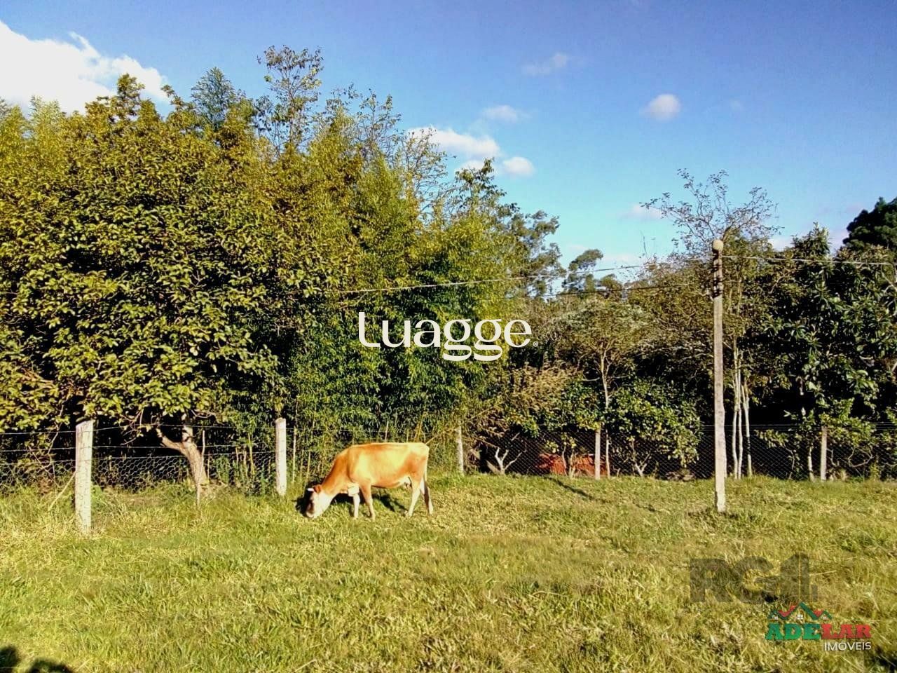 Sítio à venda com 2 quartos, 30002m² - Foto 65