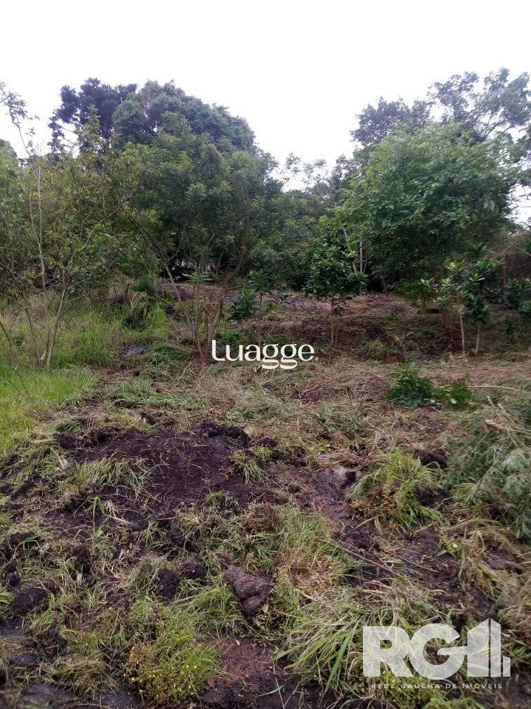 Terreno, 679 m² - Foto 4