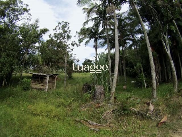 Sítio, 6681 m² - Foto 1