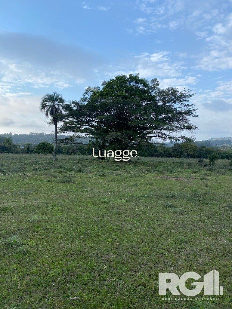 Sítio, 70001 m² - Foto 4