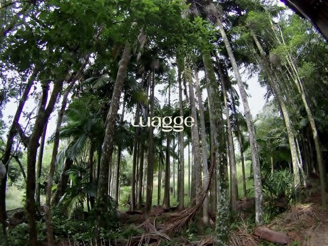 Sítio, 6681 m² - Foto 14