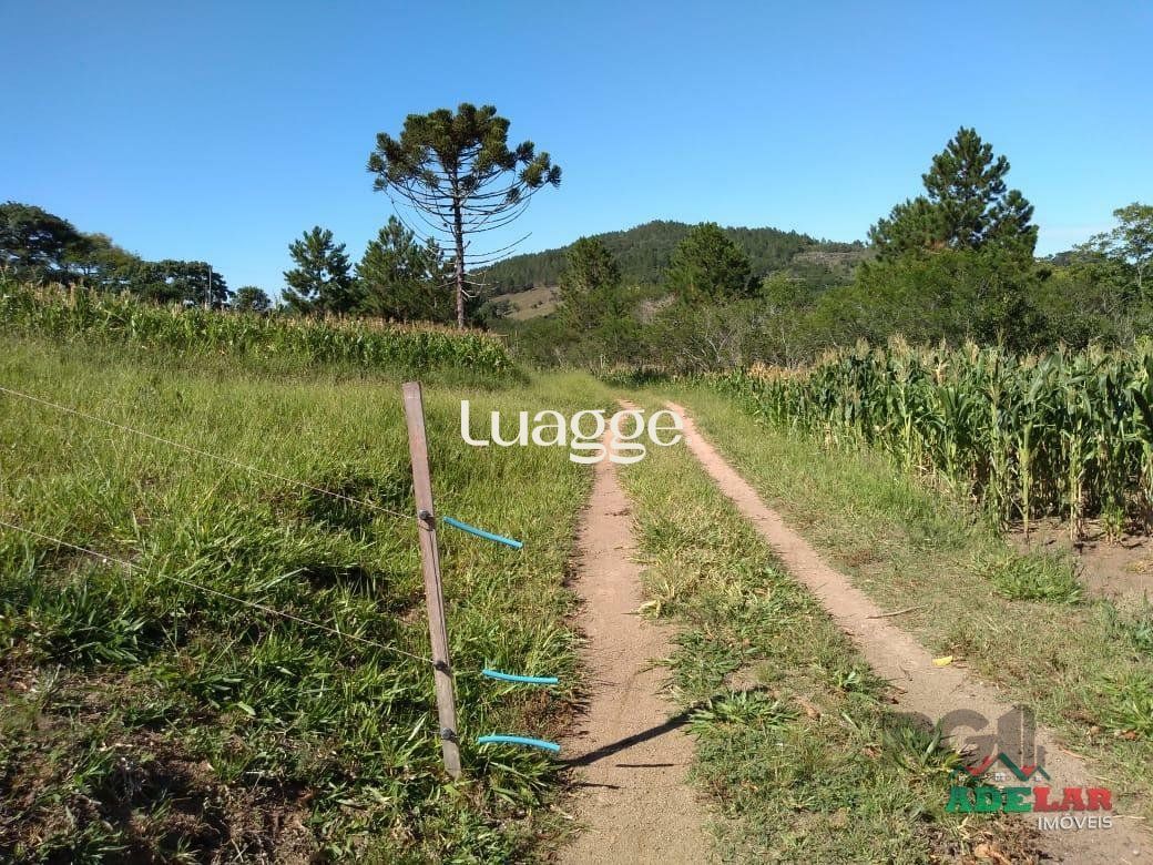 Sítio à venda com 4 quartos, 76739m² - Foto 19