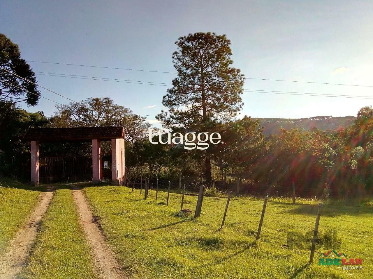 Sítio à venda com 2 quartos, 30002m² - Foto 43
